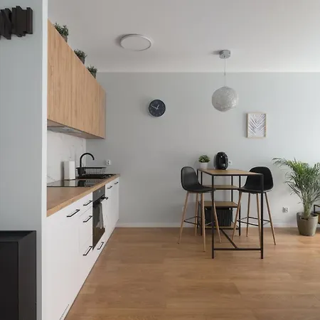 Apartament Przy Narutowicza Διαμέρισμα Στσέτσιν